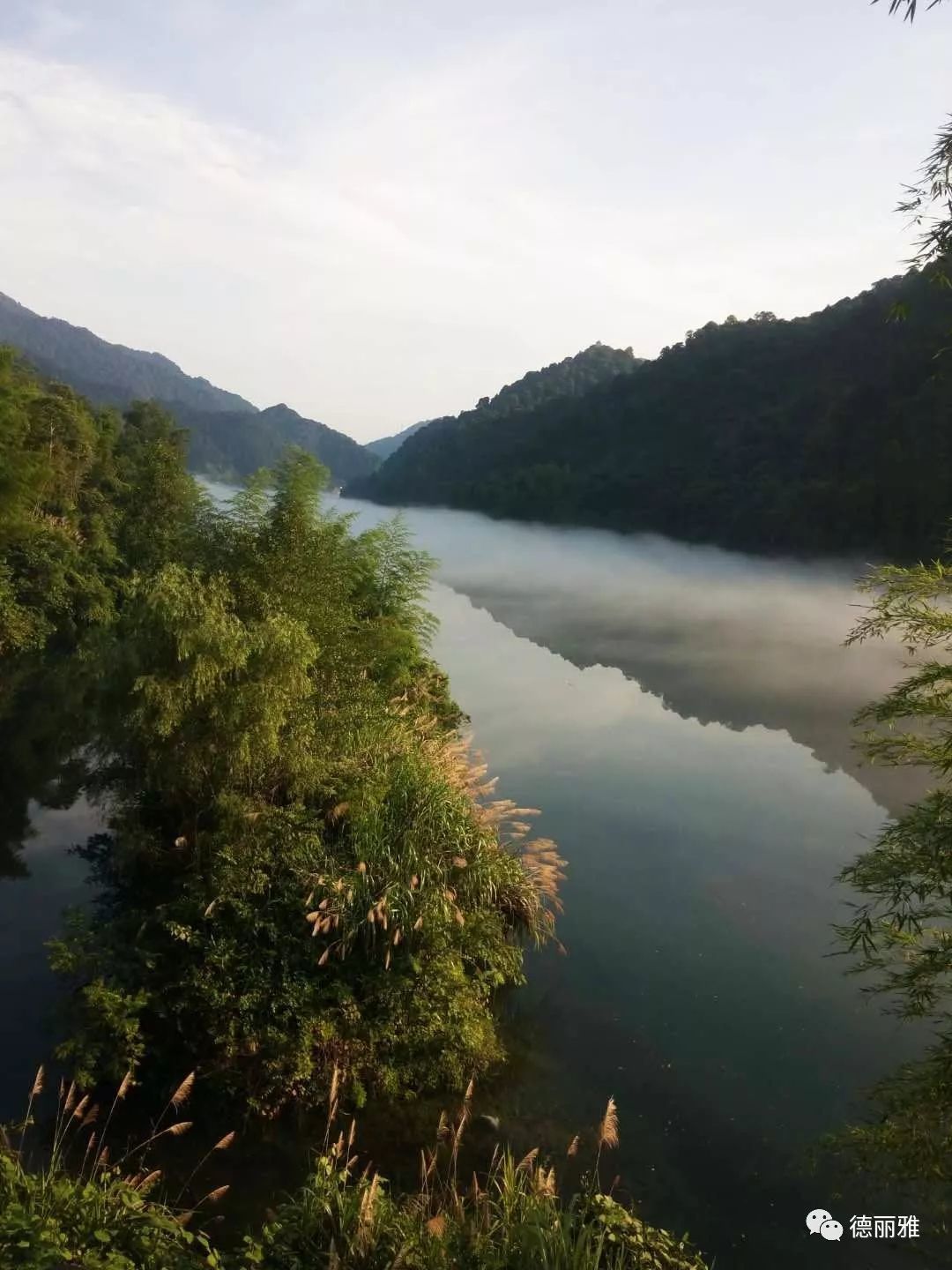 �����Ň��c����