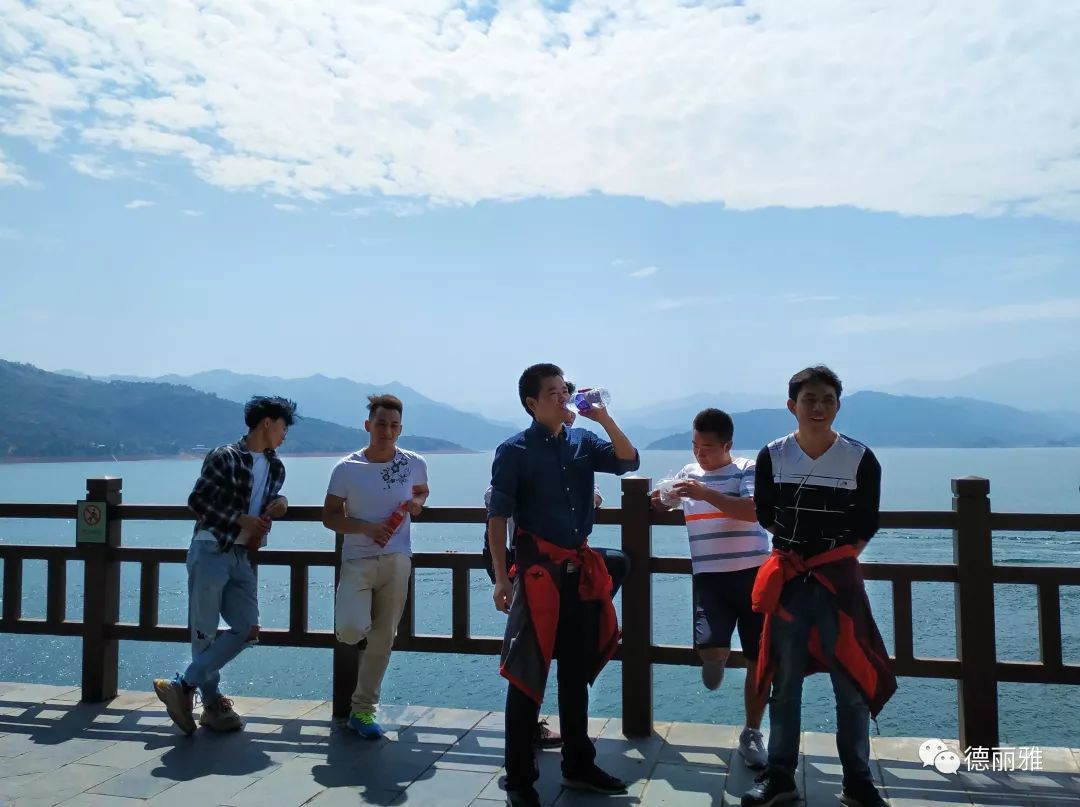 �����Ň��c����