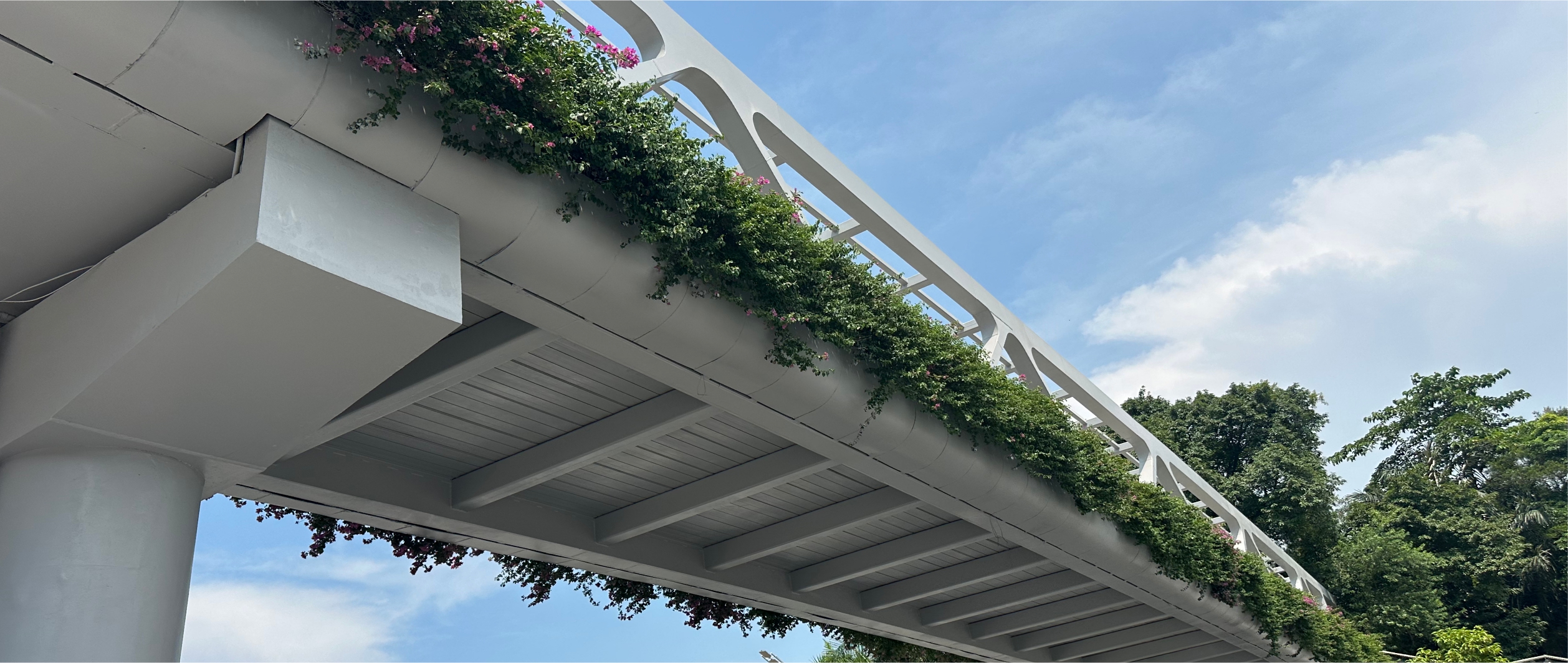 �V�|��Ӆ^(q��)Ԫ���ǅRPark��(chu��ng)��@���wͣ܇��